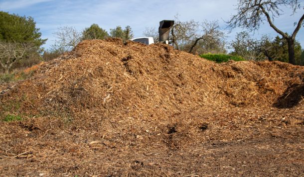 Desbroces para biomasa como fuente de energía en Ibiza
